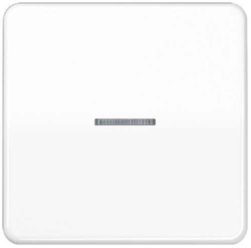 Лицевая панель Jung CD500 для 1-кл. выключателя с подсветкой белый картинка